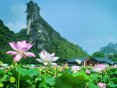 清遠(yuǎn)九龍峰林曉鎮(zhèn)+英西峰林+洞天仙境純玩2天