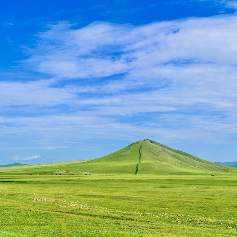 【長青樹】（闖關東、看草原去北極）河北、黑龍江、內蒙古、遼寧、吉林 空調旅游專列15天